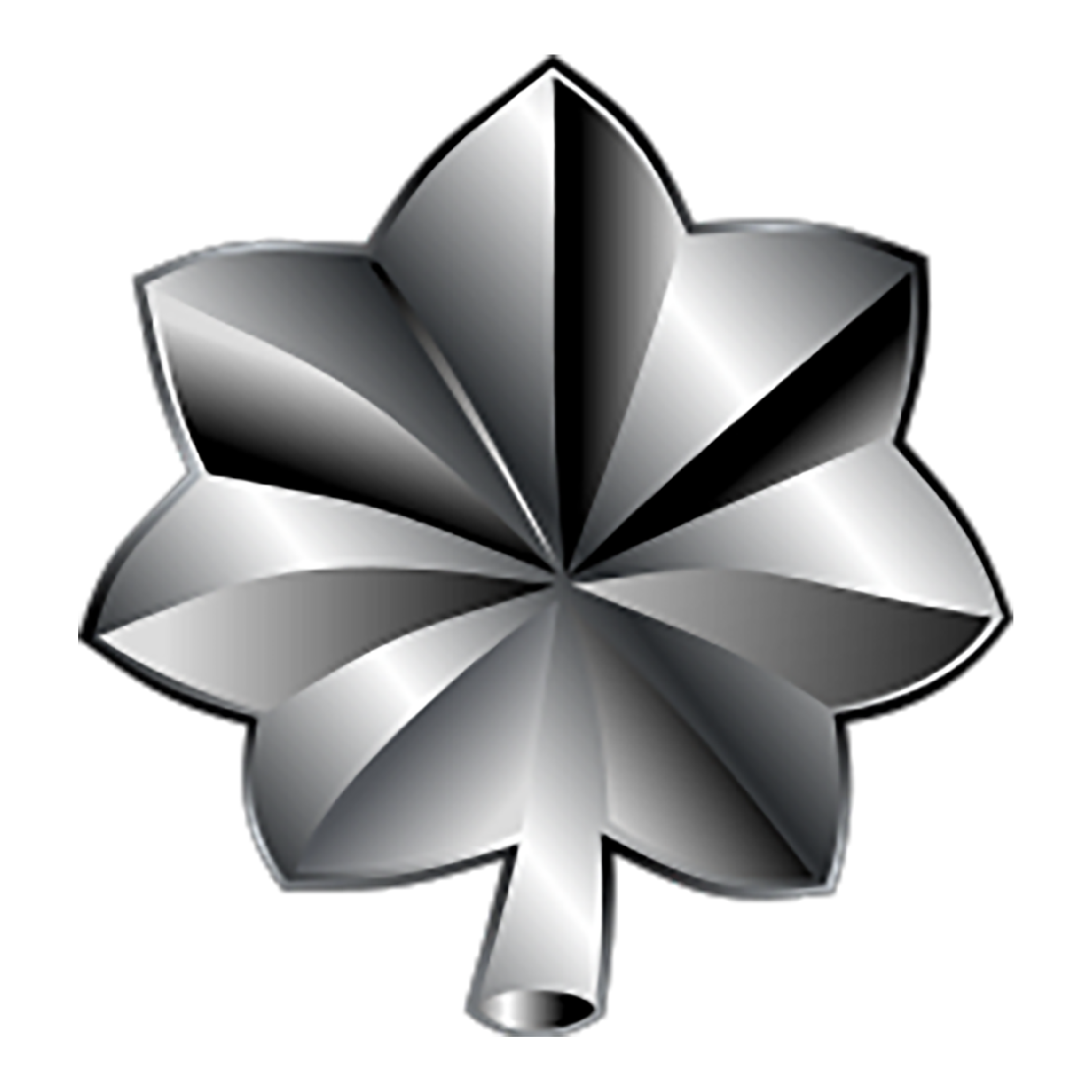Lt Colonel