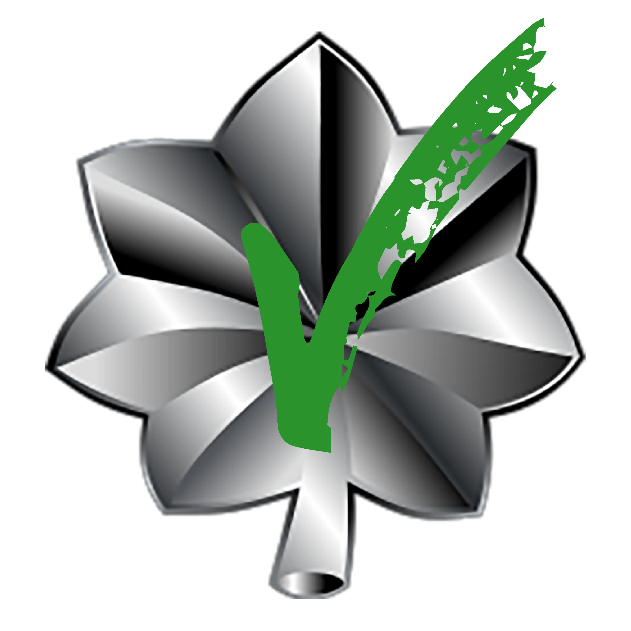 Lt Colonel