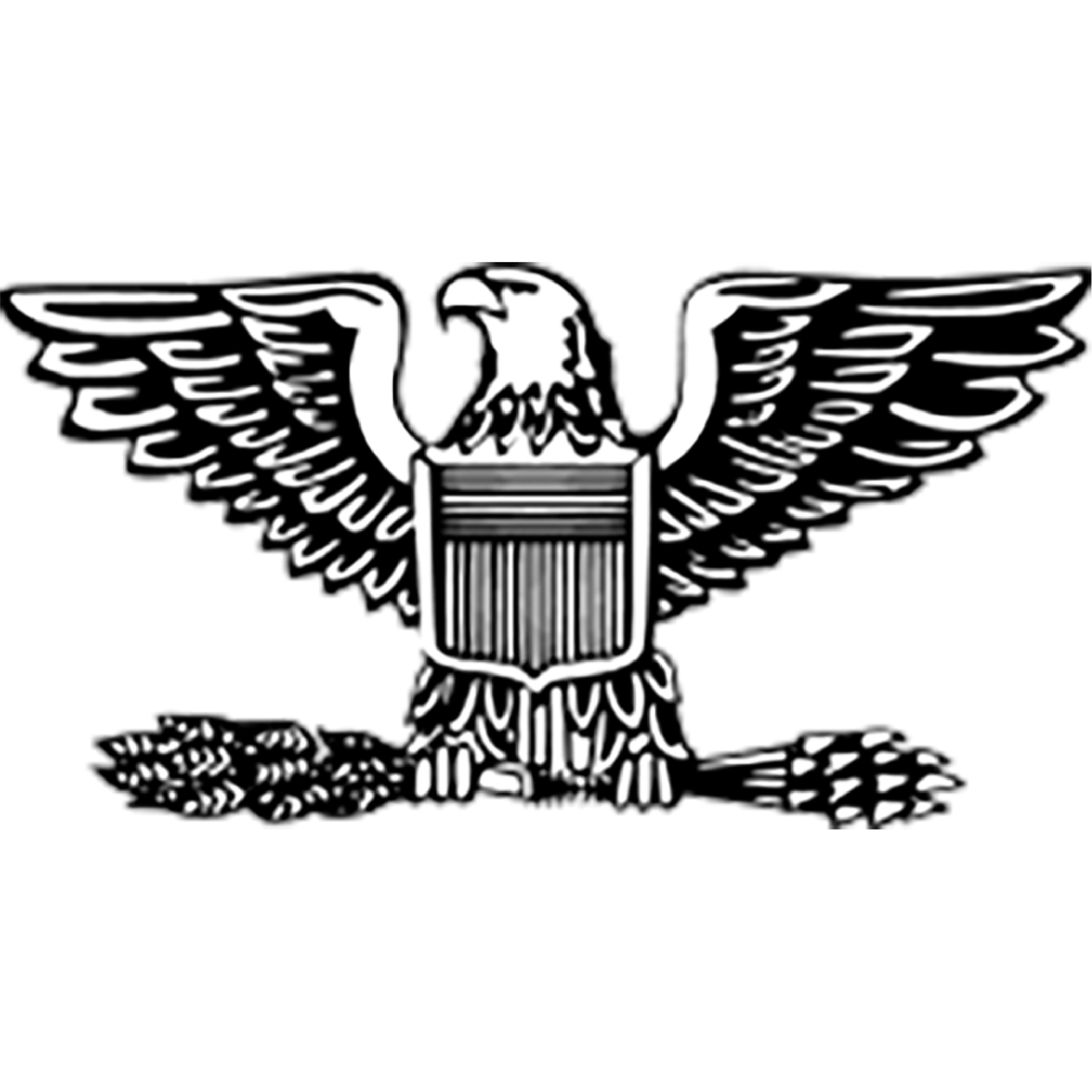 Colonel